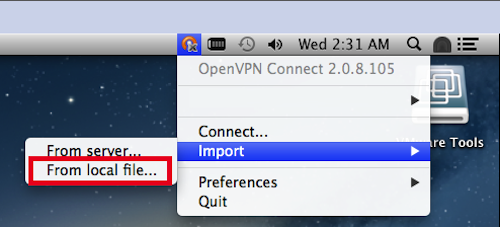 OpenVPN Connect Import From local file