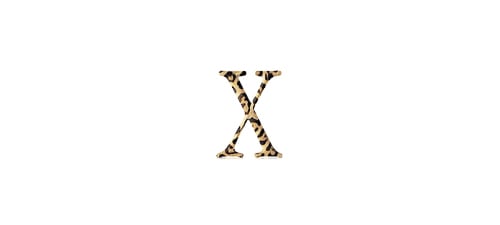 Mac OS X Jaguar