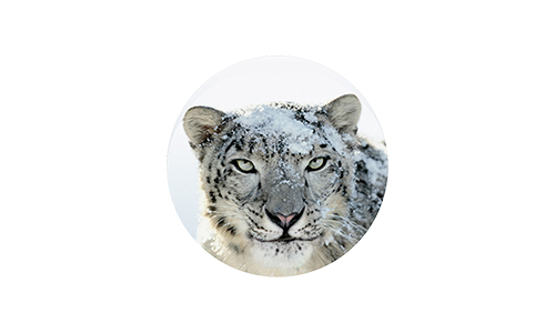 Best antivirus for mac os x snow leopard