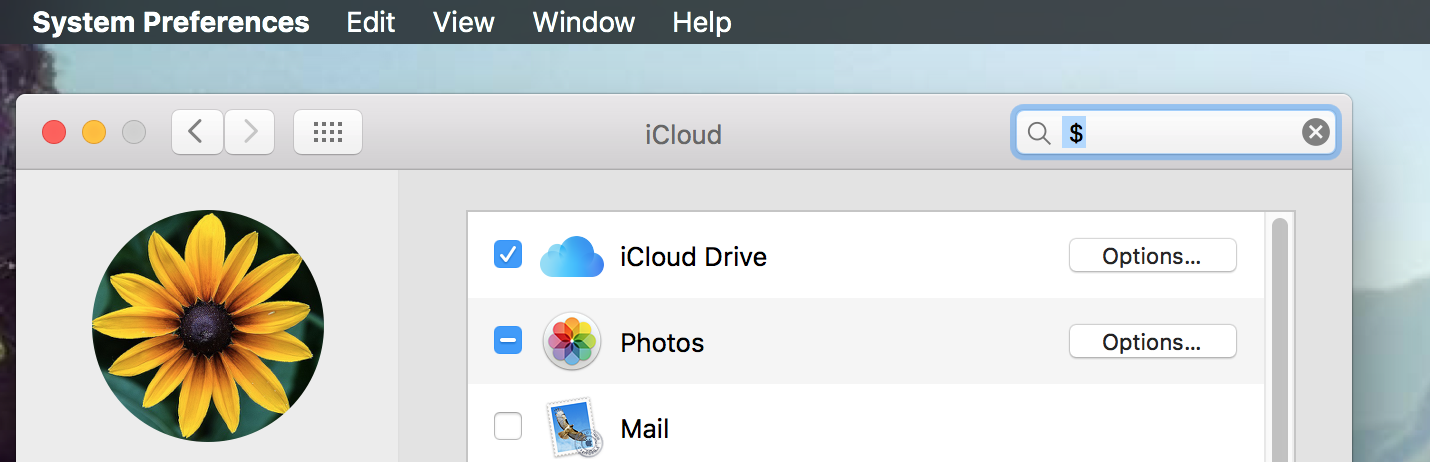 Free iCloud Storage