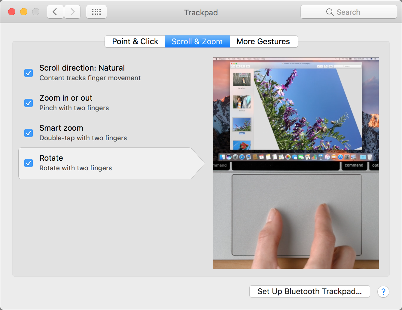 trackpad scroll & zoom setting