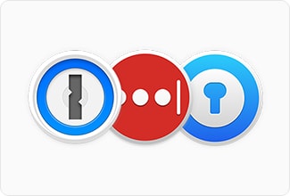 Password Manager Security Audit