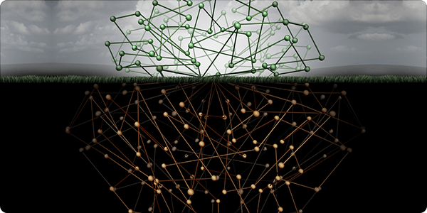 Inside the Dark Web: What Every Parent Needs to Know