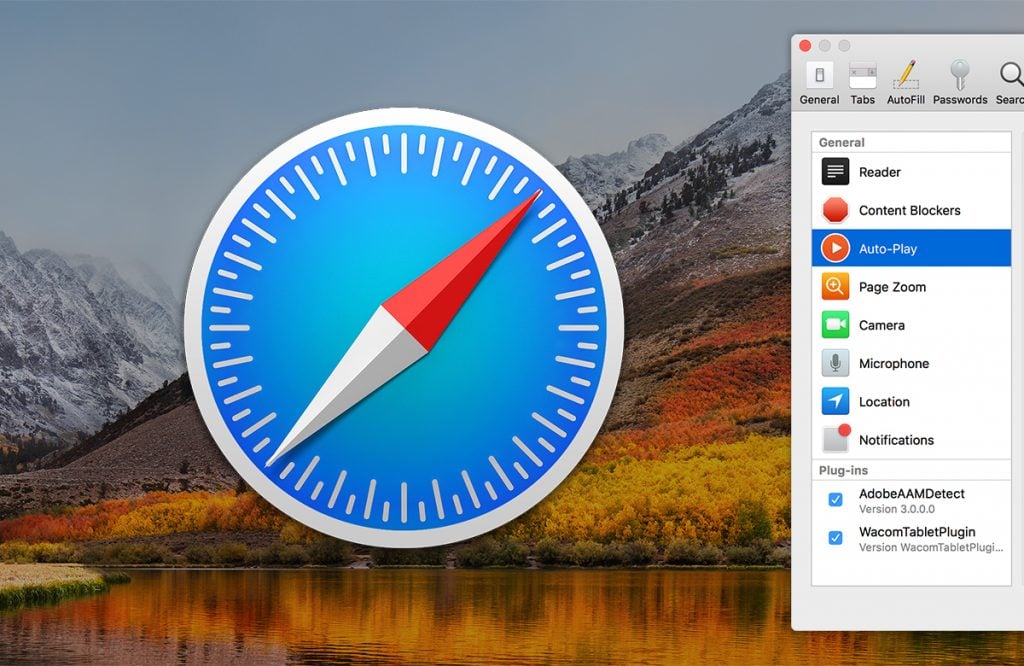 How to set Safari extension permissions on a per-website basis