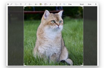 How to Use Annotations and Quick Actions in the macOS Mojave Finder