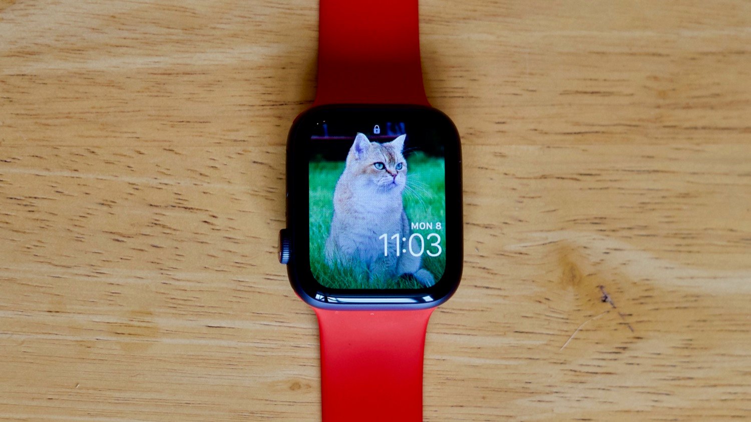 How to Sync, View, and Use Photos on the Apple Watch - The Mac