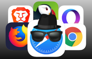 iOS private browsers: Apple Safari, Mozilla Firefox, Google Chrome, Brave, Opera, and Puffin