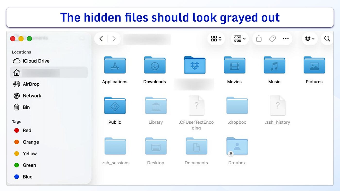 macOS Finder window displaying a user's home folder with hidden files and folders revealed (shown as translucent icons).
