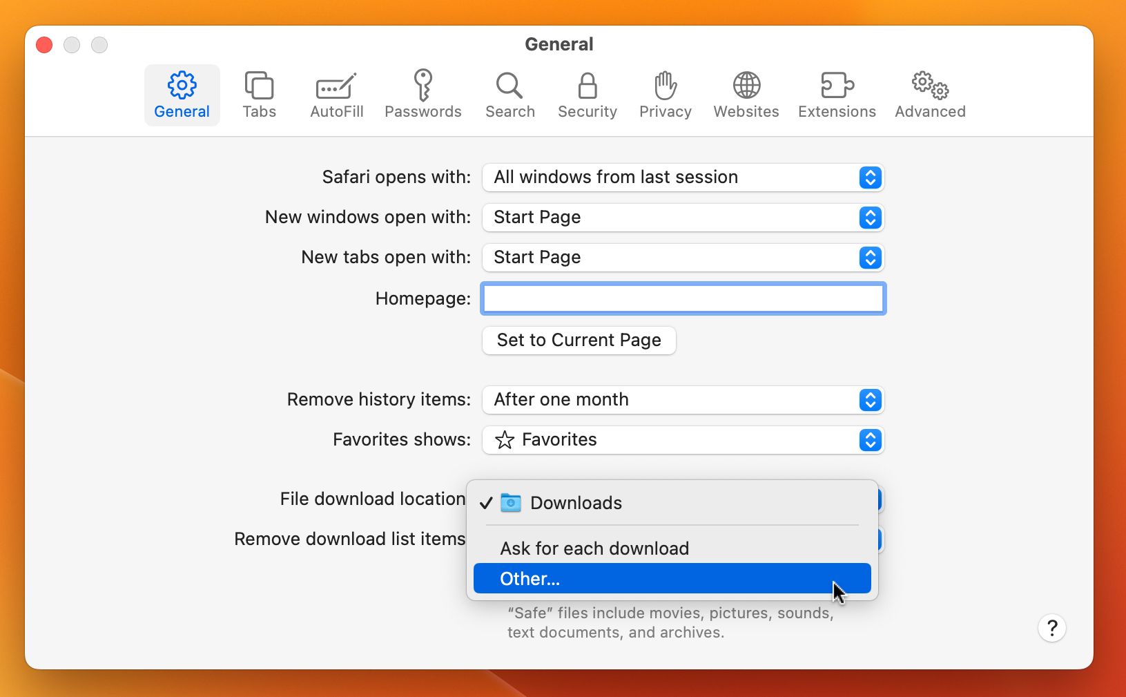 macos safari download manager