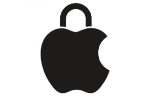Apple security and privacy padlock lock icon logo black white