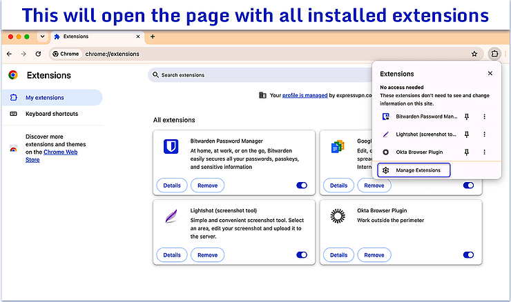 Extensions dashboard with the manage extensions button highlighted