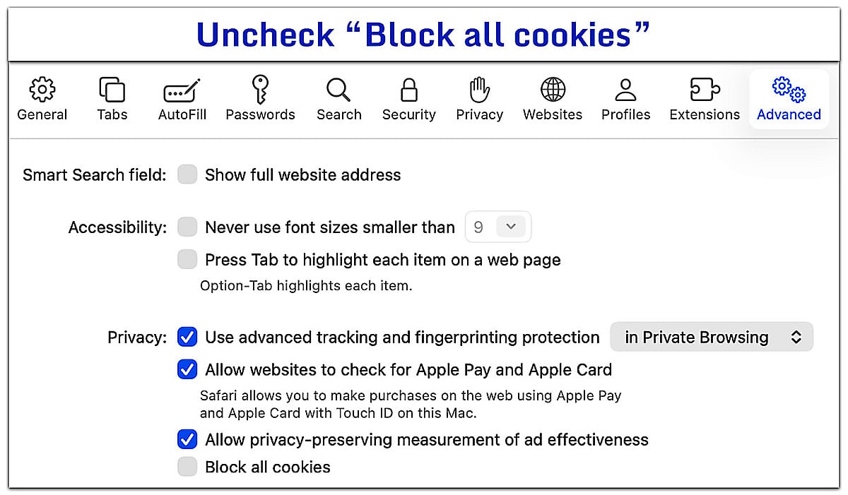 Advanced tab of Safari settings.